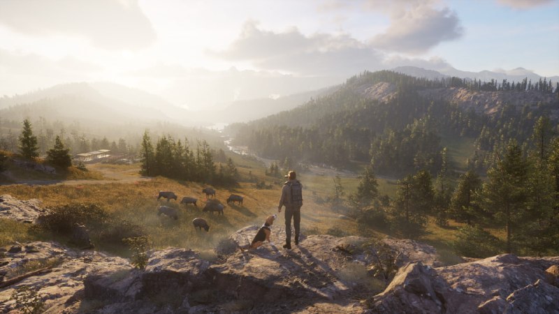 Симулятор охотника Way of the Hunter 2 выйдет 29 сентября
